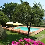 Semesterbostad Casa Daniela - Gam310 By Interhome Villa del Monte (Siena)
